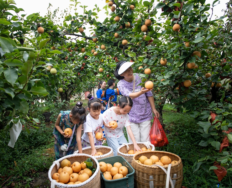 万宝山观光果园图片